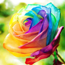Load image into Gallery viewer, Colorful Rainbow Rose